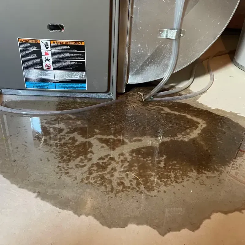 Appliance Leak Cleanup in Bristol, PA